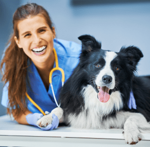 Estudia la Maestría en Dietética y Nutrición Veterinaria