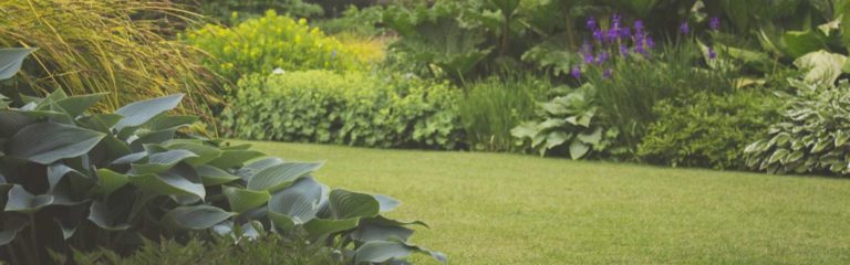 Descubre cómo diseñar un jardín a través de estos sencillos pasos