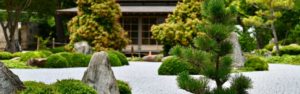 Descubre el jardín zen y cómo diseñar uno