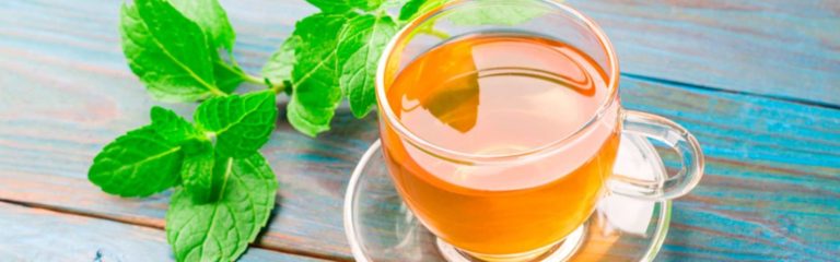 Descubre el té digestivo, ideal para prevenir las digestiones pesadas durante las fiestas navideñas