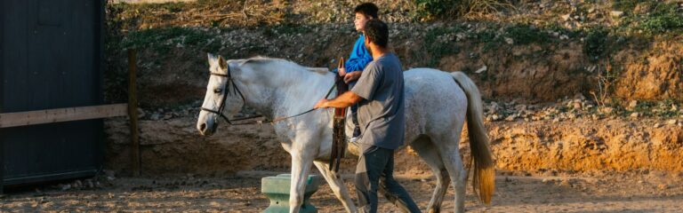 Descubre qué es la terapia con caballos, sus beneficios físicos y emocionales y los principales tipos de equinoterapia.